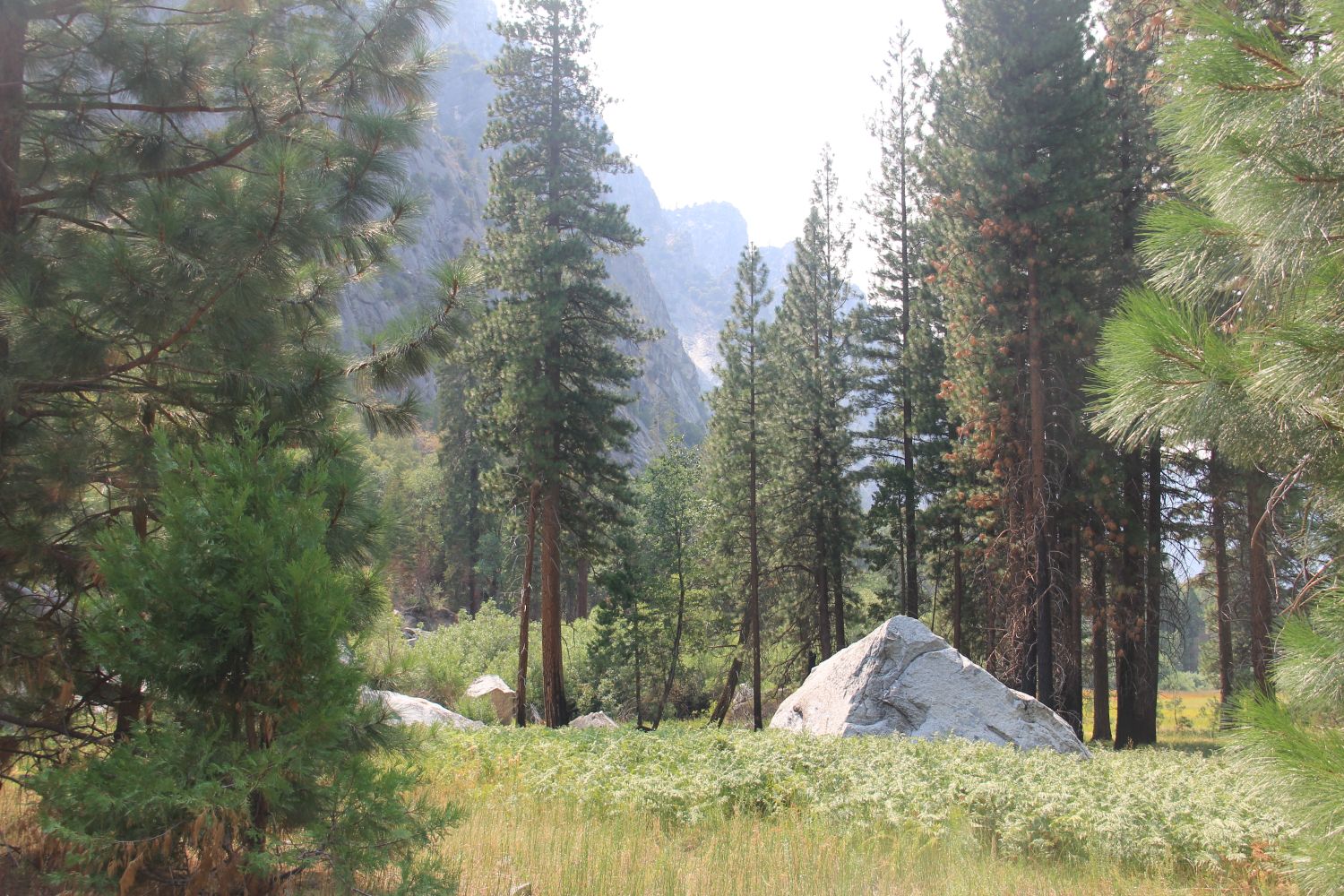 Zumwalt Meadows Trail 